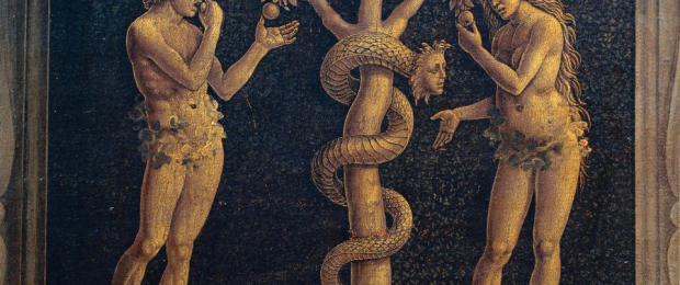 The Ascension of Kundalini